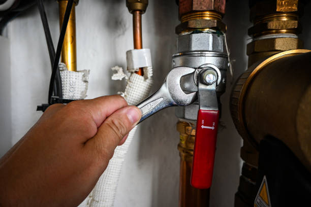 Best Plumbing Inspection Services  in Gurnee, IL